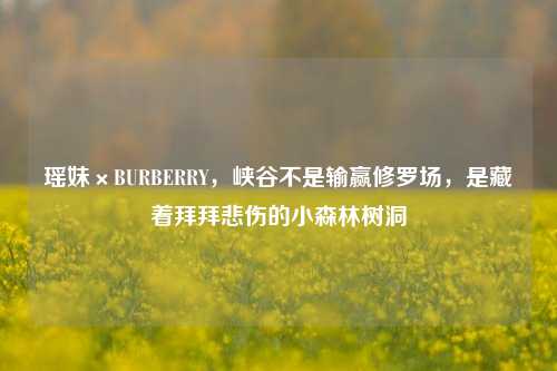 瑶妹×BURBERRY，峡谷不是输赢修罗场，是藏着拜拜悲伤的小森林树洞