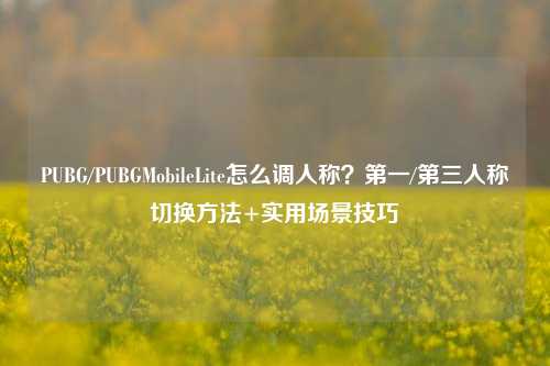 PUBG/PUBGMobileLite怎么调人称？之一/第三人称切换 *** +实用场景技巧
