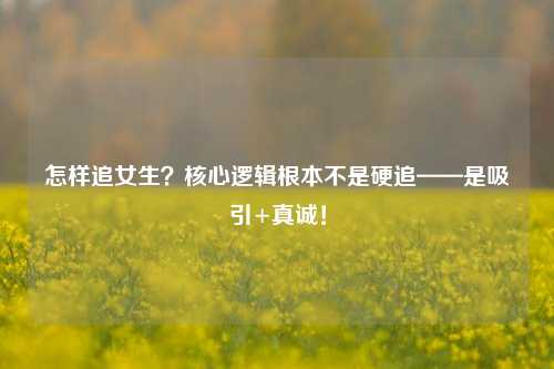 怎样追女生？核心逻辑根本不是硬追——是吸引+真诚！