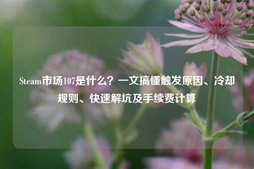 Steam市场107是什么？一文搞懂触发原因、冷却规则、快速解坑及手续费计算