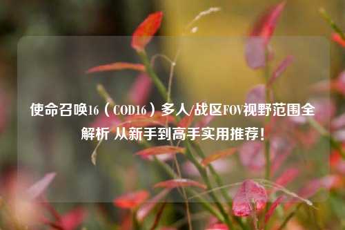 使命召唤16（COD16）多人/战区FOV视野范围全解析 从新手到高手实用推荐！