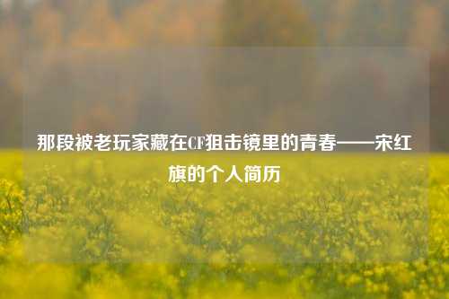 那段被老玩家藏在CF狙击镜里的青春——宋红旗的个人简历