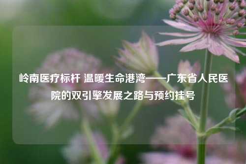 岭南医疗标杆 温暖生命港湾——广东省人民医院的双引擎发展之路与预约挂号