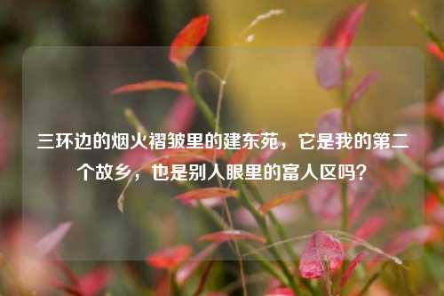 三环边的烟火褶皱里的建东苑，它是我的第二个故乡，也是别人眼里的富人区吗？