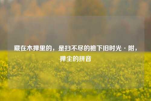 藏在木掸里的，是扫不尽的檐下旧时光·附，掸尘的拼音