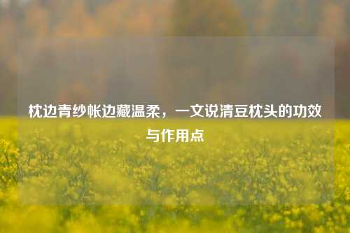枕边青纱帐边藏温柔，一文说清豆枕头的功效与作用点
