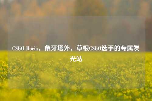 CSGO Docia，象牙塔外，草根CSGO选手的专属发光站