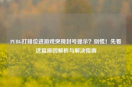 PUBG打排位进游戏突现封号提示？别慌！先看这篇原因解析与解决指南