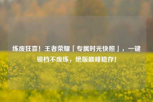 练废狂喜！王者荣耀「专属时光快照」，一键锁档不废练，绝版巅峰稳存！