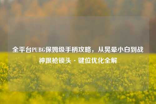 全平台PUBG保姆级手柄攻略，从晃晕小白到战神跟枪锁头·键位优化全解