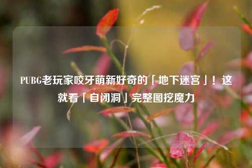 PUBG老玩家咬牙萌新好奇的「地下迷宫」！这就看「自闭洞」完整图挖魔力