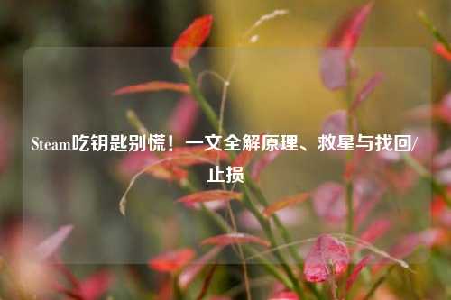 Steam吃钥匙别慌！一文全解原理、救星与找回/止损