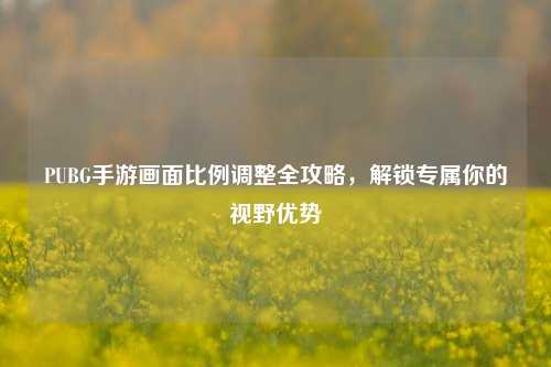 PUBG手游画面比例调整全攻略，解锁专属你的视野优势