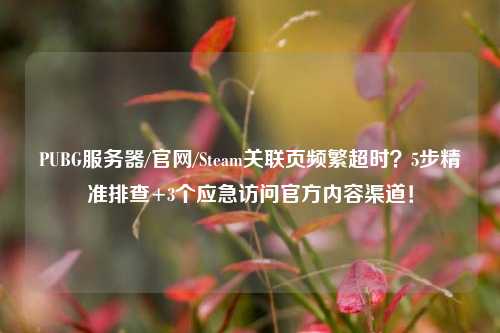 PUBG服务器/官网/Steam关联页频繁超时？5步精准排查+3个应急访问官方内容渠道！