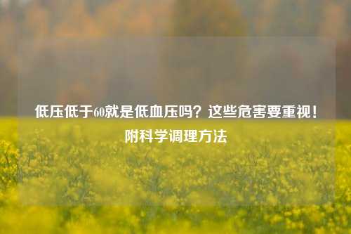 低压低于60就是低血压吗？这些危害要重视！附科学调理 *** 