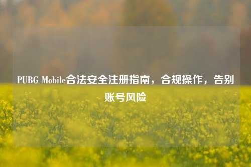 PUBG Mobile合法安全注册指南，合规操作，告别账号风险