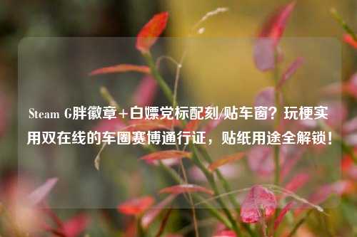 Steam G胖徽章+白嫖党标配刻/贴车窗？玩梗实用双在线的车圈赛博通行证，贴纸用途全解锁！