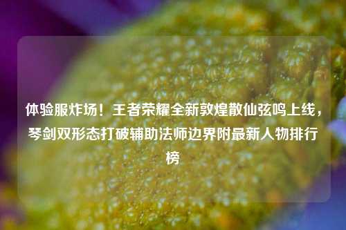 体验服炸场！王者荣耀全新敦煌散仙弦鸣上线，琴剑双形态打破辅助法师边界附最新人物排行榜