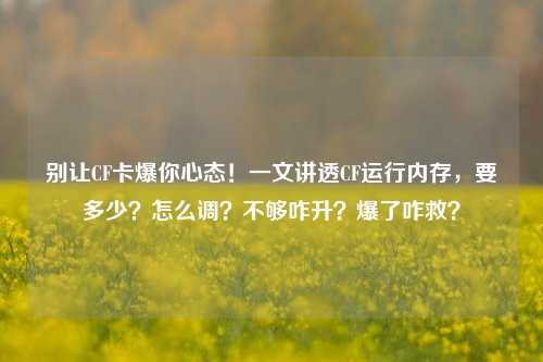 别让CF卡爆你心态！一文讲透CF运行内存，要多少？怎么调？不够咋升？爆了咋救？
