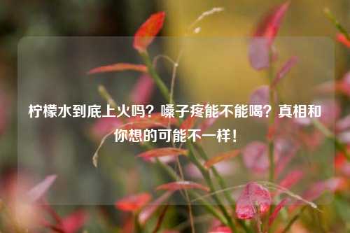 柠檬水到底上火吗？嗓子疼能不能喝？真相和你想的可能不一样！