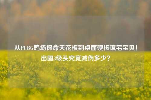 从PUBG鸡场保命天花板到桌面硬核镇宅宝贝！出圈3级头究竟减伤多少？