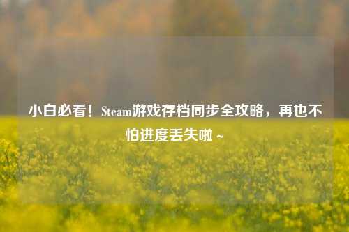 小白必看！Steam游戏存档同步全攻略，再也不怕进度丢失啦～