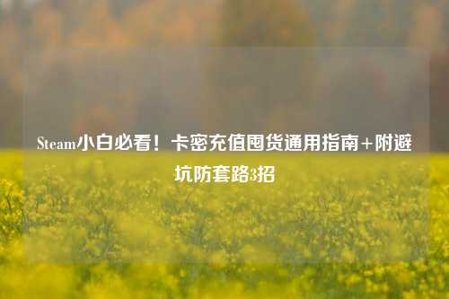 Steam小白必看！卡密充值囤货通用指南+附避坑防套路3招
