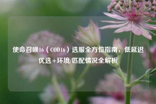 使命召唤16（COD16）选服全方位指南，低延迟优选+环境/匹配情况全解析