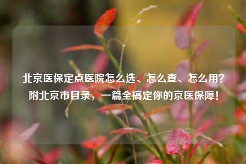 北京医保定点医院怎么选、怎么查、怎么用？附北京市目录，一篇全搞定你的京医保障！