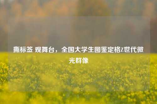 撕标签 观舞台，全国大学生图鉴定格Z世代微光群像