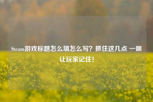 Steam游戏标题怎么填怎么写？抓住这几点 一眼让玩家记住！