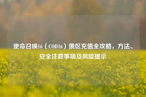 使命召唤16（COD16）俄区充值全攻略， *** 、安全注意事项及风险提示