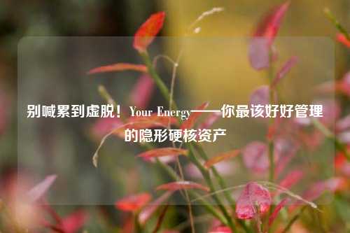 别喊累到虚脱！Your Energy——你最该好好管理的隐形硬核资产