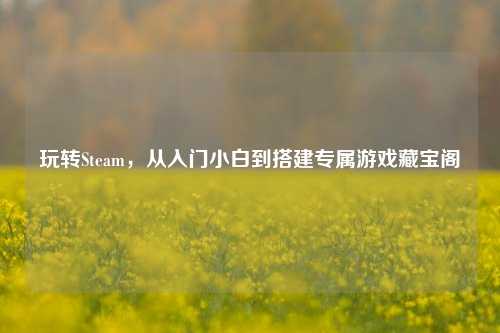 玩转Steam，从入门小白到搭建专属游戏藏宝阁