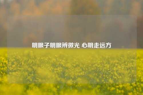 明眼子明眼辨微光 心明走远方
