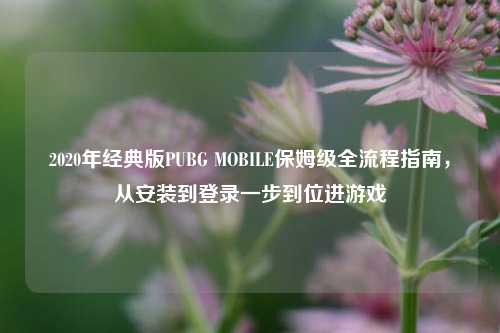 2020年经典版PUBG MOBILE保姆级全流程指南，从安装到登录一步到位进游戏