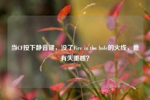 当CF按下静音键，没了Fire in the hole的火线，竟有失重感？