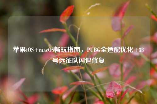 苹果iOS+macOS畅玩指南，PUBG全适配优化+33号远征队闪退修复