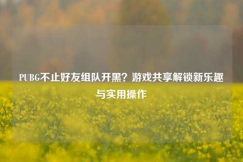 PUBG不止好友组队开黑？游戏共享解锁新乐趣与实用操作