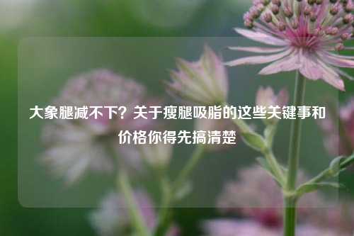 大象腿减不下？关于瘦腿吸脂的这些关键事和价格你得先搞清楚