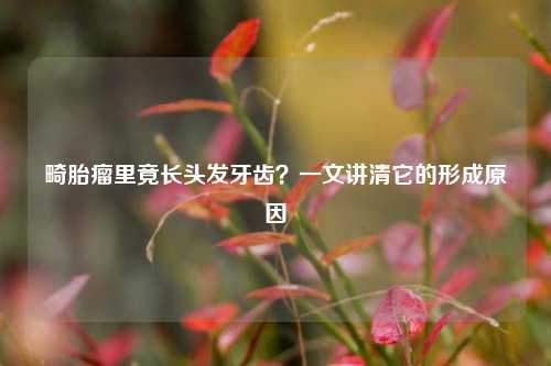 畸胎瘤里竟长头发牙齿？一文讲清它的形成原因