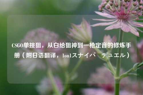 CSGO单挑狙，从白给狙神到一枪定音的修炼手册（附日语翻译，1on1スナイパーデュエル）