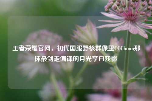 王者荣耀官网，初代国服野核群像里CCChuan那抹最剑走偏锋的月光李白残影