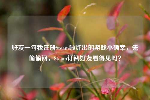 好友一句我注册Steam啦炸出的游戏小确幸，先偷偷问，Steam订阅好友看得见吗？