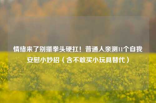 情绪来了别攥拳头硬扛！普通人亲测11个自我安慰小妙招（含不敢买小玩具替代）