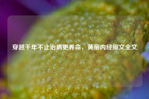 穿越千年不止治病更养命，黄帝内经原文全文