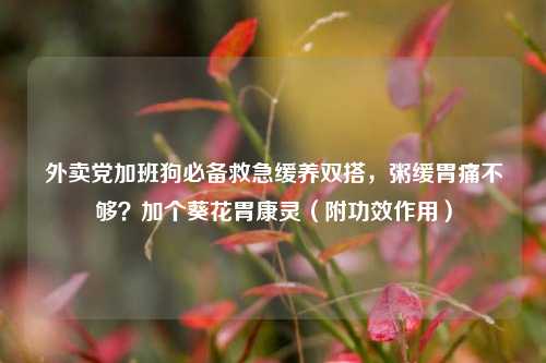 外卖党加班狗必备救急缓养双搭，粥缓胃痛不够？加个葵花胃康灵（附功效作用）
