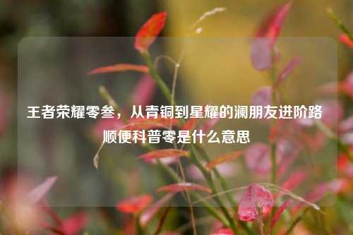 王者荣耀零叁，从青铜到星耀的澜朋友进阶路 顺便科普零是什么意思