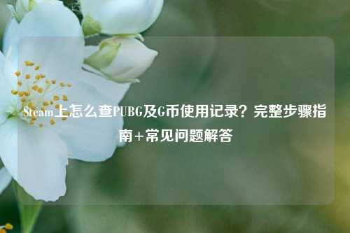 Steam上怎么查PUBG及G币使用记录？完整步骤指南+常见问题解答