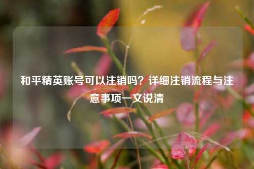 和平精英账号可以注销吗？详细注销流程与注意事项一文说清